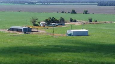 Farm For Sale - NSW - Moree - 2400 - First class cropping  (Image 2)