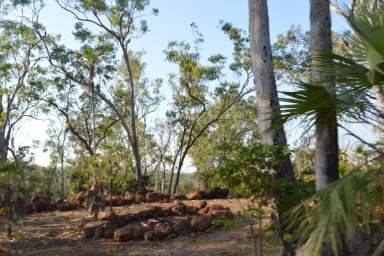 Farm For Sale - NT - Dundee Forest - 0840 - Fantastic Ridge Views  (Image 2)