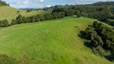 Farm For Sale - NSW - Megan - 2453 - Mountain Springs  (Image 2)