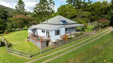 Farm For Sale - NSW - Megan - 2453 - Mountain Springs  (Image 2)