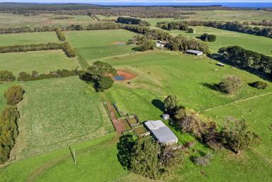 Farm Auction - VIC - Mount Richmond - 3305 - 'Wattle Bank'  (Image 2)