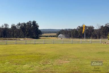 Farm For Sale - QLD - Glenbar - 4620 - ONCE IN A LIFE TIME!  (Image 2)