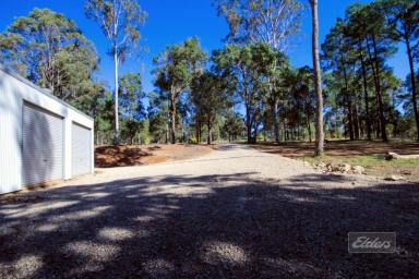 Farm For Sale - QLD - Glenwood - 4570 - PERFECT GREY NOMAD BASE!  (Image 2)