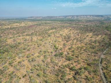 Farm For Sale - NT - Katherine - 0850 - Prime Tourism Potential Near Nitmiluk National Park  (Image 2)