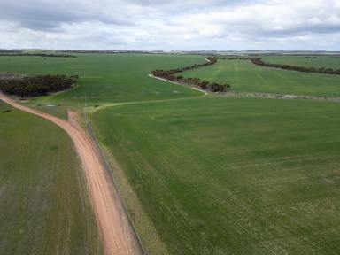 Farm For Sale - WA - Pingrup - 6343 - 409 Dixon Road | PINGRUP  (Image 2)