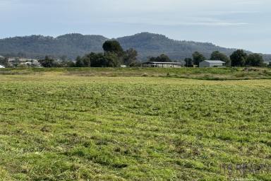 Farm Sold - NSW - Denman - 2328 - 21 Acres of River Flats  (Image 2)