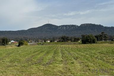 Farm For Sale - NSW - Denman - 2328 - 21 Acres of River Flats  (Image 2)