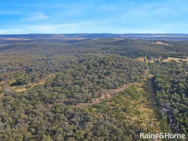 Farm Auction - NSW - Canyonleigh - 2577 - Canyonleigh Southern Highlands to Be Sold At Auction If Not Prior - Lot 2 DP/597687, Lot 28/DP751286, Lot 74/DP751286  (Image 2)