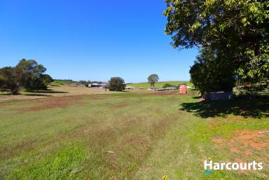 Farm For Sale - QLD - Childers - 4660 - FANCY SOME ACREAGE RIGHT IN THE HEART OF CHILDERS  (Image 2)