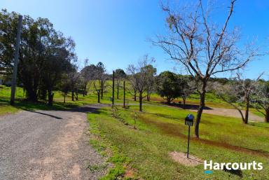 Farm For Sale - QLD - Childers - 4660 - FANCY SOME ACREAGE RIGHT IN THE HEART OF CHILDERS  (Image 2)