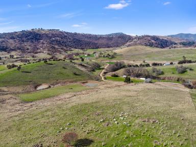 Farm For Sale - NSW - Adelong - 2729 - Views & Rural Space  (Image 2)