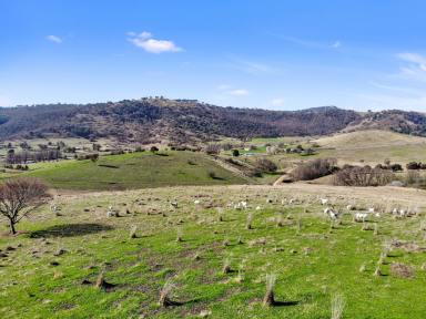 Farm For Sale - NSW - Adelong - 2729 - Views & Rural Space  (Image 2)