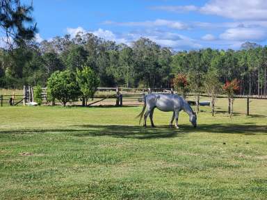 Farm For Sale - QLD - Woodford - 4514 - Space and Location!  10 acres under an hour to Brisbane or the Sunshine Coast.  (Image 2)