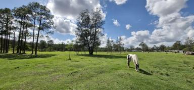 Farm For Sale - QLD - Woodford - 4514 - Unique opportunity - 10 flat usable acres of land with a spacious 5 bedroom home.  (Image 2)