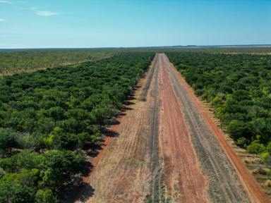 Farm For Sale - NT - Douglas-daly - 0822 - IRRIGATED CROPPING DEVELOPMENT OPPORTUNITY  (Image 2)