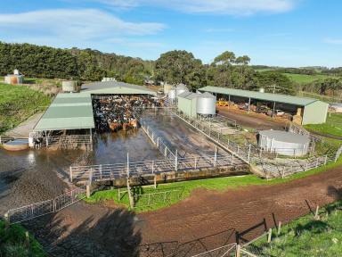 Farm For Sale - VIC - Simpson - 3266 - EXCELLENT HEYTESBURY DISTRICT DAIRY PROPERTY  (Image 2)