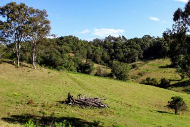 Farm For Sale - NSW - Bentley - 2480 - Opportunity in the Golden Triangle  (Image 2)