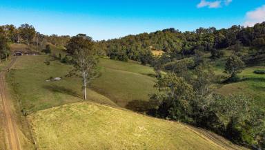 Farm For Sale - NSW - Bentley - 2480 - Opportunity in the Golden Triangle  (Image 2)