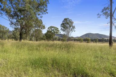 Farm Auction - QLD - Lower Wonga - 4570 - Highly productive and versatile 429-acre property with an abundance of water!  (Image 2)