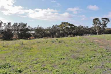 Farm Sold - WA - Wagin - 6315 - Natures Secret  (Image 2)