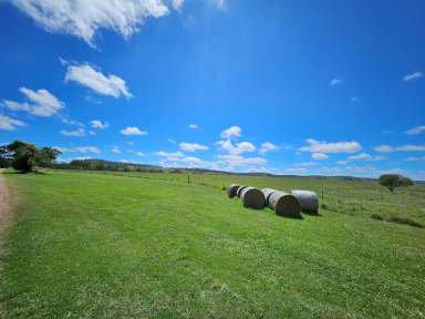 Farm For Sale - QLD - Plainby - 4355 - 208 Acres of quality scrub country, 2 homes, sheds, 2 bores on 2 titles.  (Image 2)