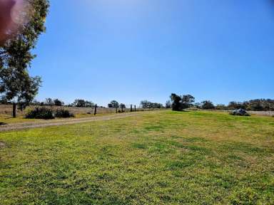 Farm For Sale - QLD - Plainby - 4355 - 208 Acres of quality scrub country, 2 homes, sheds, 2 bores on 2 titles.  (Image 2)