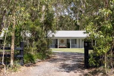 Farm For Sale - NSW - Wallalong - 2320 - A Feel-Good Family Home Amongst Leafy Serenity  (Image 2)