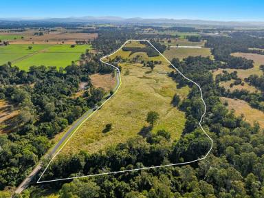 Farm Sold - NSW - Yorklea - 2470 - Great Opportunity, Affordable Price  (Image 2)