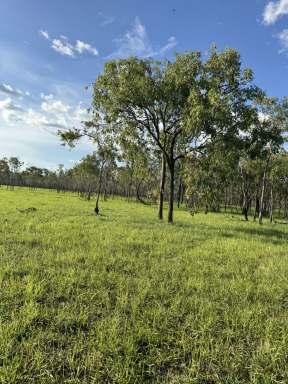 Farm For Sale - NT - Mount Bundey - 0822 - 390 acres lifestyle farm Arnhem highway  (Image 2)