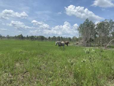 Farm For Sale - NT - Mount Bundey - 0822 - 390 acres lifestyle farm Arnhem highway  (Image 2)