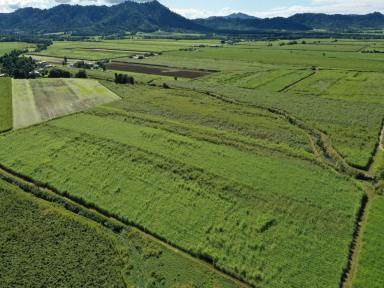 Farm For Sale - QLD - East Feluga - 4854 - Lots of Land  (Image 2)