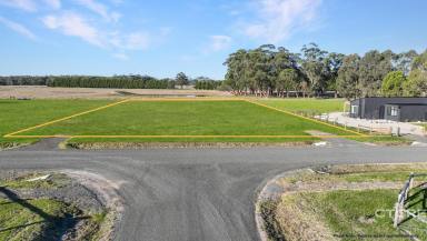 Farm For Sale - VIC - Marlo - 3888 - Go Large in Brodribb  (Image 2)