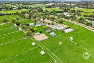 Farm For Sale - VIC - Pearcedale - 3912 - Equestrian Estate in Pearcedale  (Image 2)