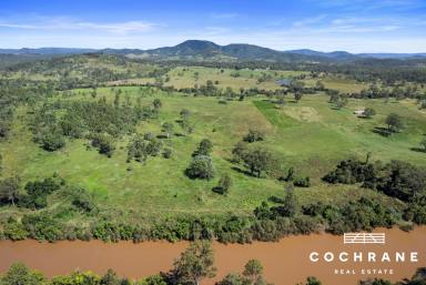 Farm For Sale - QLD - Sexton - 4570 - MARY RIVER IRRIGATION COUNTRY  (Image 2)