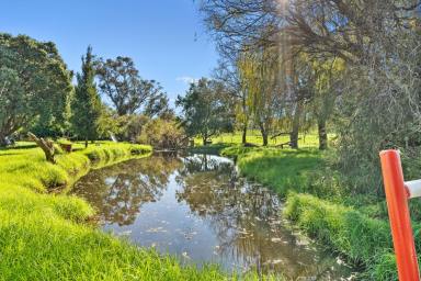 Farm For Sale - WA - Fairbridge - 6208 - CRYSTAL BROOK - Organic Biodynamic Farm  (Image 2)