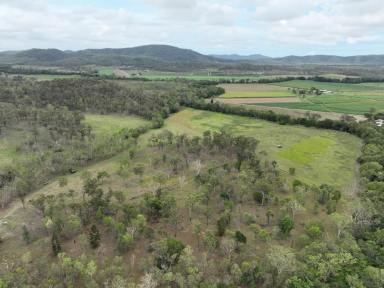 Farm For Sale - QLD - Yalboroo - 4741 - Discover Your Perfect Retreat!  (Image 2)