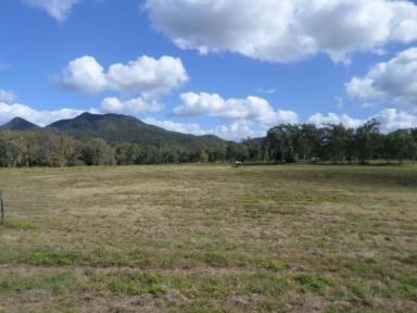 Farm For Sale - QLD - Yalboroo - 4741 - Discover Your Perfect Retreat!  (Image 2)