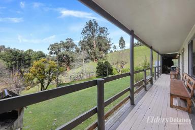 Farm For Sale - VIC - Neerim South - 3831 - Vendor Finance Available - Farm, Fish, Hunt, Admire - A property with options!  (Image 2)