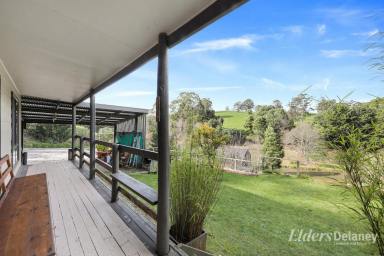 Farm For Sale - VIC - Neerim South - 3831 - Vendor Finance Available - Farm, Fish, Hunt, Admire - A property with options!  (Image 2)