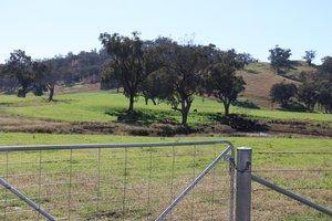 Farm For Sale - NSW - Tamworth  - 2340 - Highway Frontage, Location, 20 mins Tamworth, Subdivision  (Image 2)