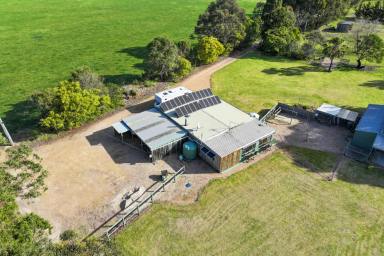 Farm Sold - VIC - Forge Creek - 3875 - Private Retreat With No Close NEIGH-bours.  (Image 2)