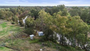 Farm Auction - NSW - Dubbo - 2830 - Macquarie River Frontage With Potential  (Image 2)