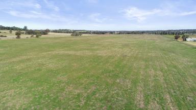 Farm Auction - NSW - Dubbo - 2830 - Macquarie River Frontage With Potential  (Image 2)