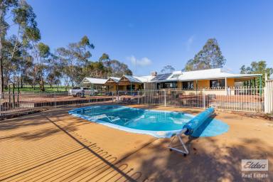 Farm For Sale - WA - West Toodyay - 6566 - Country Living at It's Finest Spacious Family Home on 8.57 Acres  (Image 2)