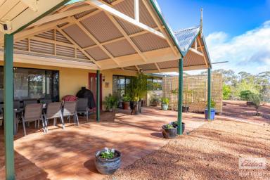 Farm For Sale - WA - West Toodyay - 6566 - Country Living at It's Finest Spacious Family Home on 8.57 Acres  (Image 2)