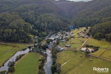 Farm For Sale - TAS - Gunns Plains - 7315 - CREEKSIDE SERENITY AWAITS  (Image 2)