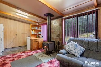 Farm For Sale - TAS - Gunns Plains - 7315 - Cosy Parkside Retreat  (Image 2)