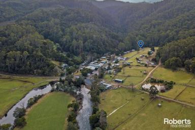 Farm For Sale - TAS - Gunns Plains - 7315 - Cosy Parkside Retreat  (Image 2)