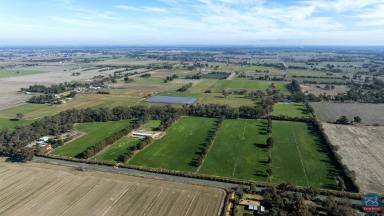 Farm For Sale - VIC - Congupna - 3633 - This one is hard to beat!  (Image 2)