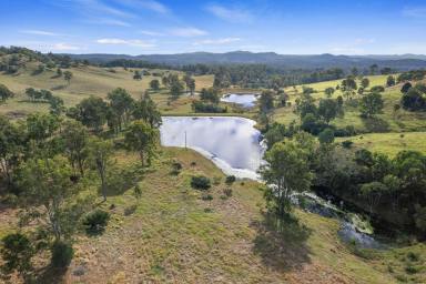 Farm For Sale - QLD - Pie Creek - 4570 - “THE SPRINGS”, AN EXCEPTIONAL RURAL PROPERTY WHERE VERSATILITY SPRINGS TO MIND  (Image 2)